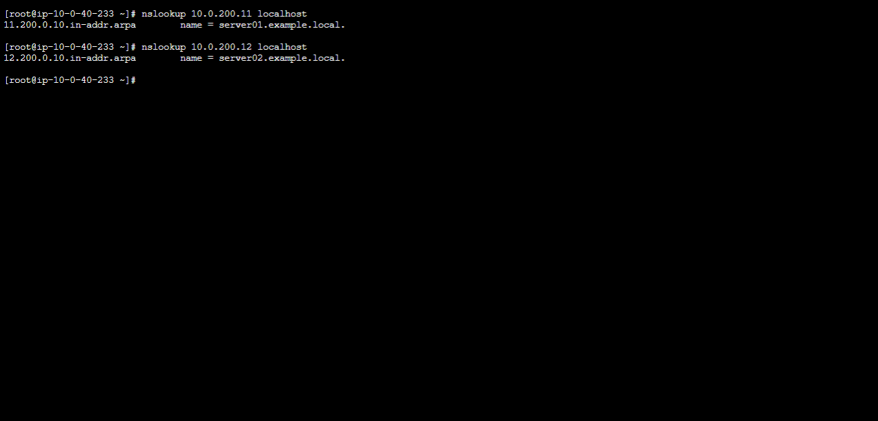 逆引き名前解決確認(localhost)
