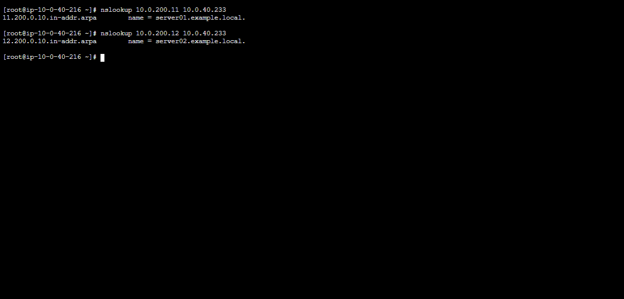 逆引き名前解決確認