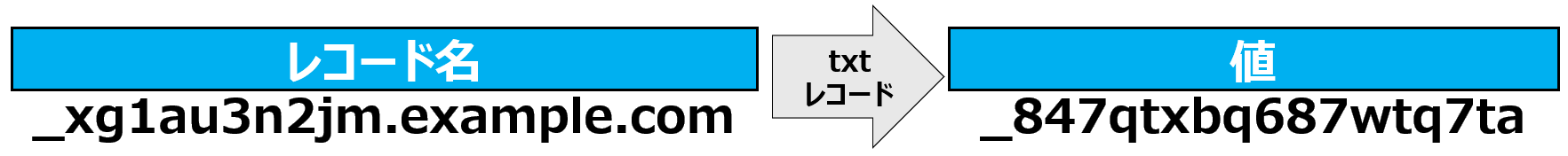 txtレコード