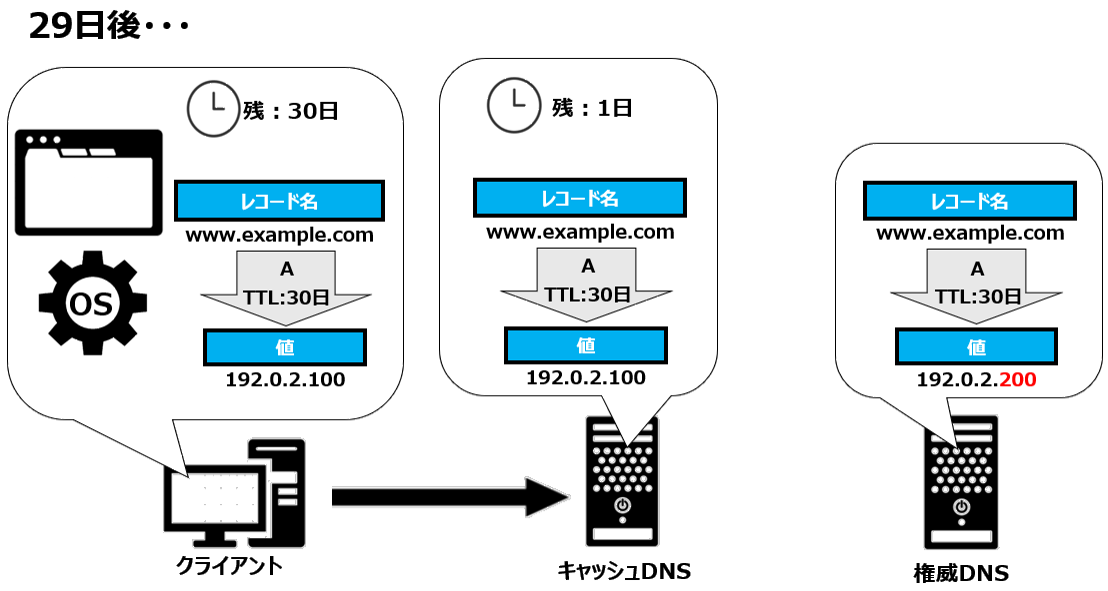 DNSの伝搬機関