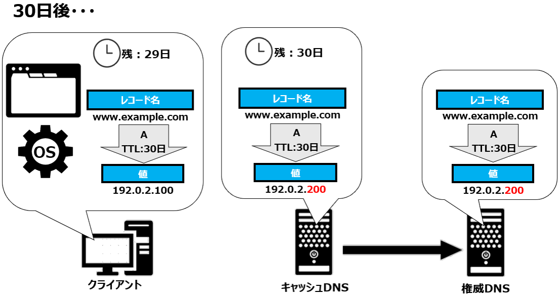 DNSの伝搬機関