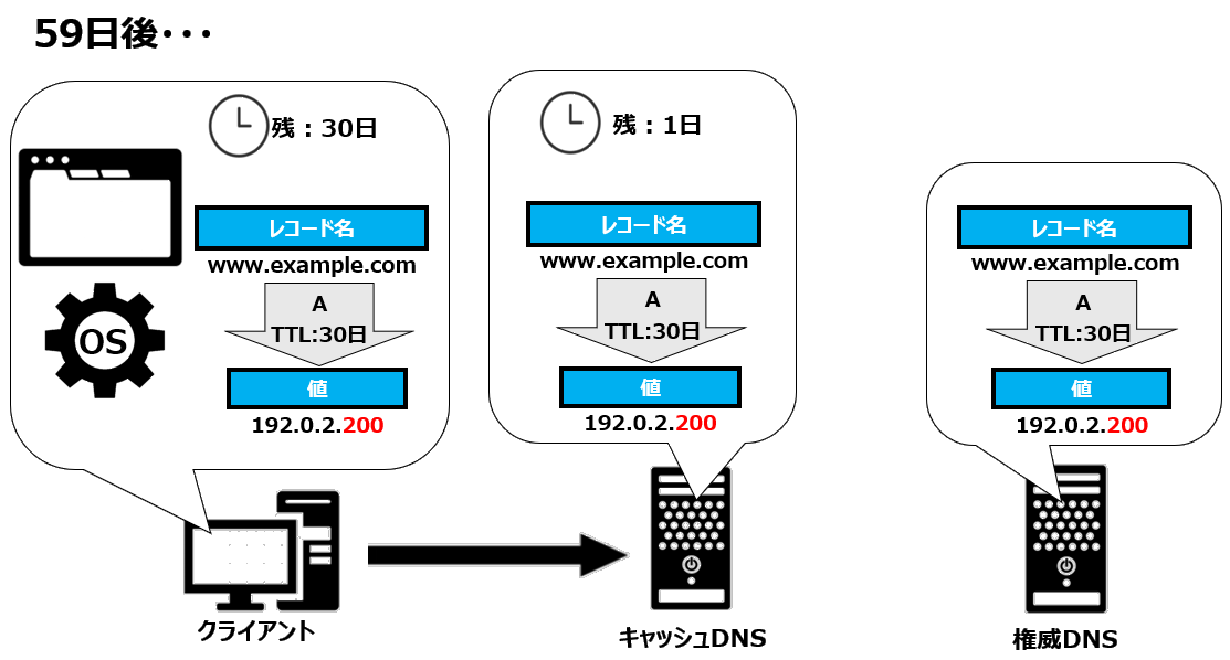 DNSの伝搬機関