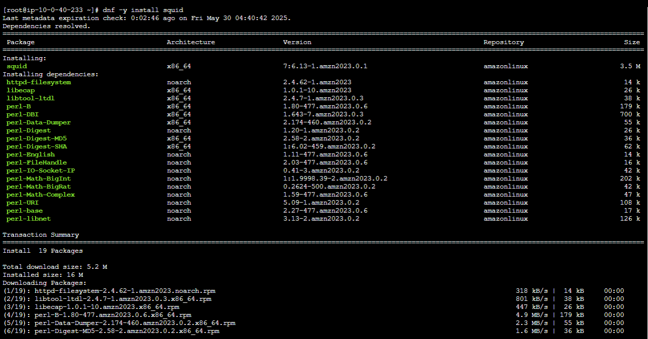 squidインストール