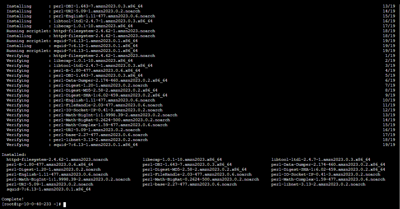 squidインストール完了